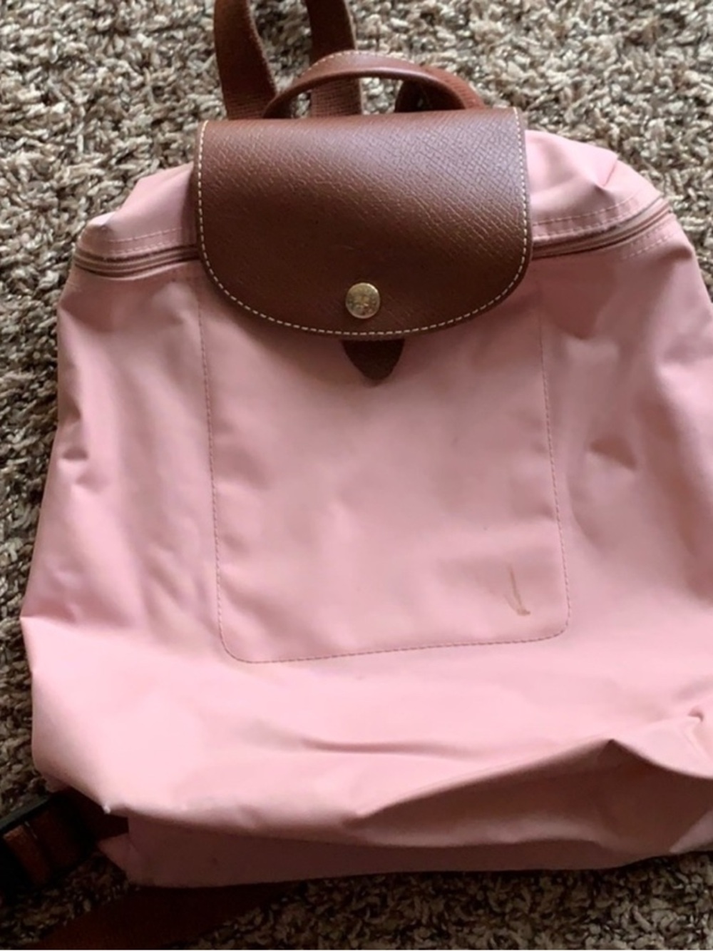 Longchamp Pink and Brown Nylon Backpack